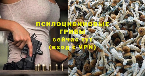 герыч Абаза