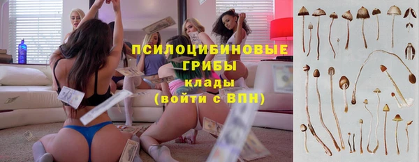 ECSTASY Нефтекумск